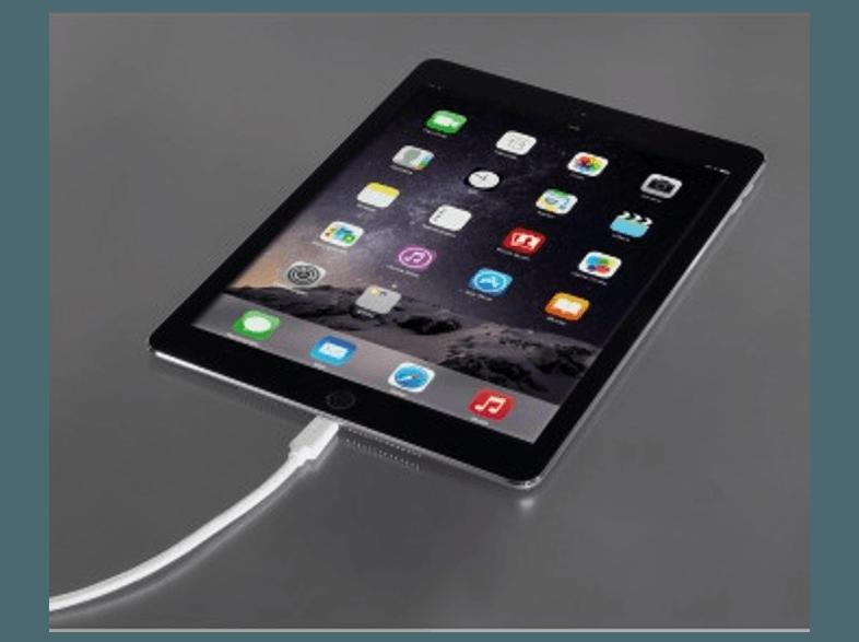 HAMA 134605 Lightning Kabel für iPad USB-2.0