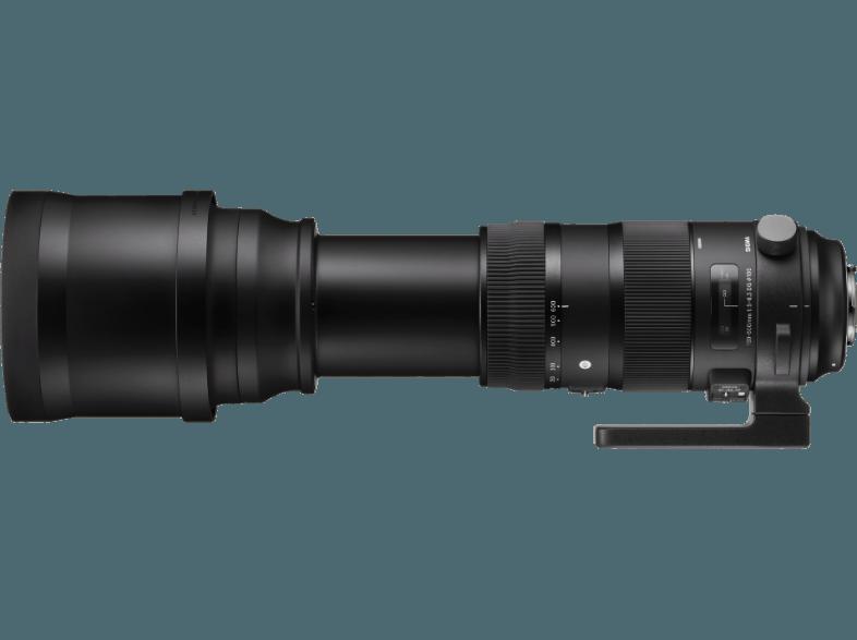 SIGMA 150-600mm F5-6,3 DG OS HSM Nikon Telezoom für Nikon (150 mm- 600 mm, f/5-6.3)