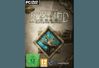 Icewind Dale: Enhanced Edition [PC]