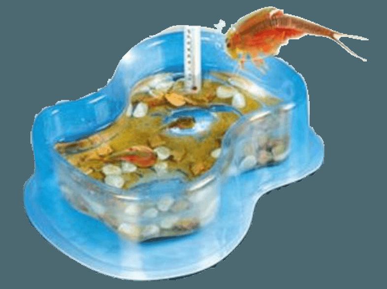 CLEMENTONI 69248.4 Galileo Triops Basisset