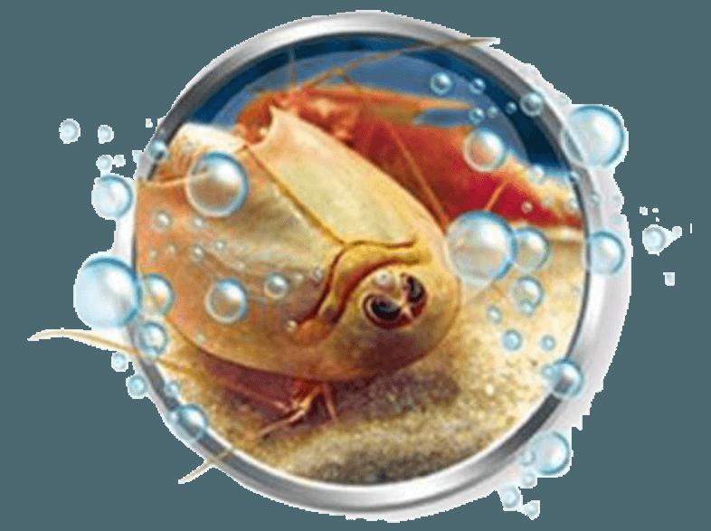 CLEMENTONI 69248.4 Galileo Triops Basisset