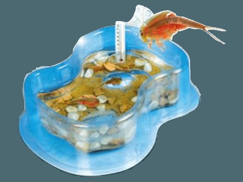 CLEMENTONI 69694 Galileo - Original Triops Starterset