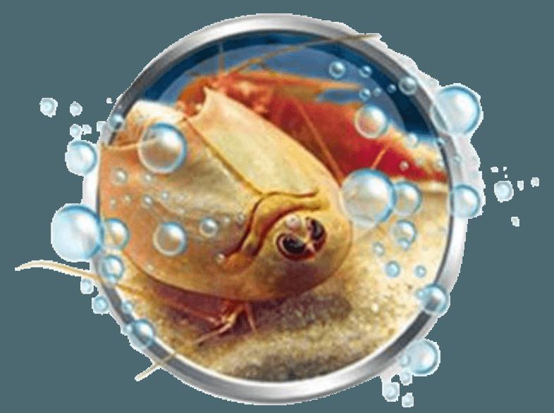 CLEMENTONI 69694 Galileo - Original Triops Starterset, CLEMENTONI, 69694, Galileo, Original, Triops, Starterset