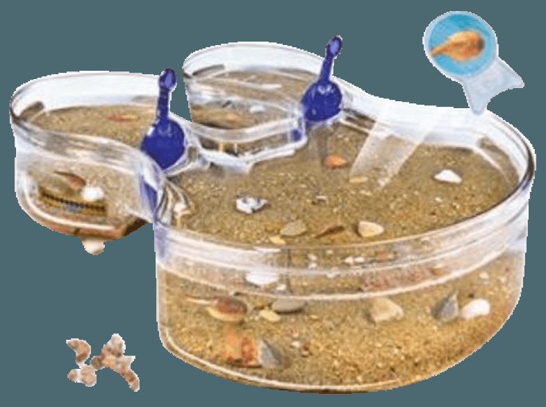 CLEMENTONI 69883.7 Galileo Original Triops Max