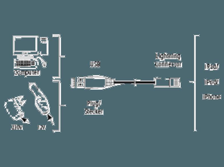 HAMA 134605 Lightning Kabel für iPad USB-2.0