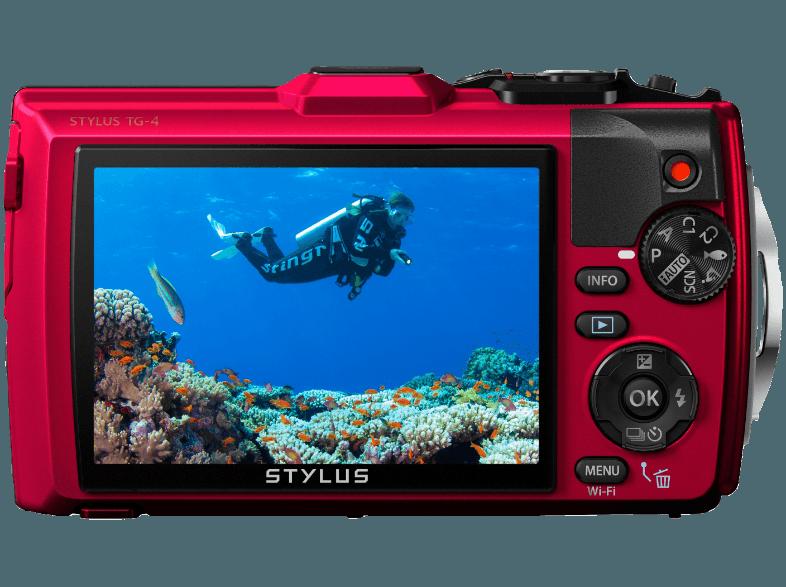 OLYMPUS TG 4  Rot (16 Megapixel, 4x opt. Zoom, 7.6 cm LCD, WLAN)