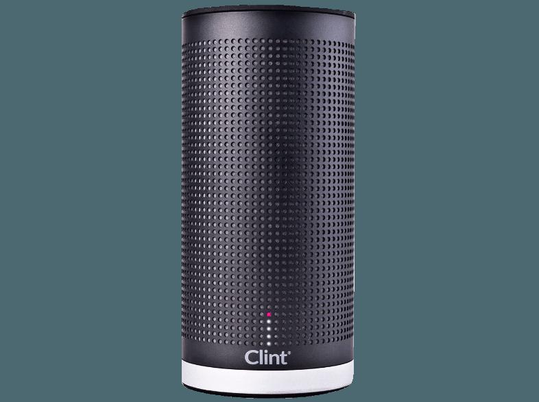 CLINT B0001 Freya - Hifi Wireless Audio (App-steuerbar, 802.11 b/g, Grau)