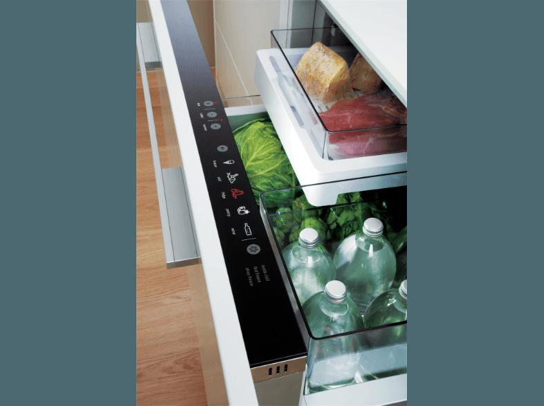 FISHER&PAYKEL RB 90 S 64 MKIWI Kühlschrank (110 kWh/Jahr, A , 640 mm hoch, Edelstahl)