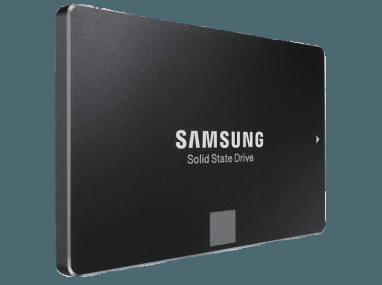 SAMSUNG MZ-75E250RW  250 GB 2.5 Zoll intern