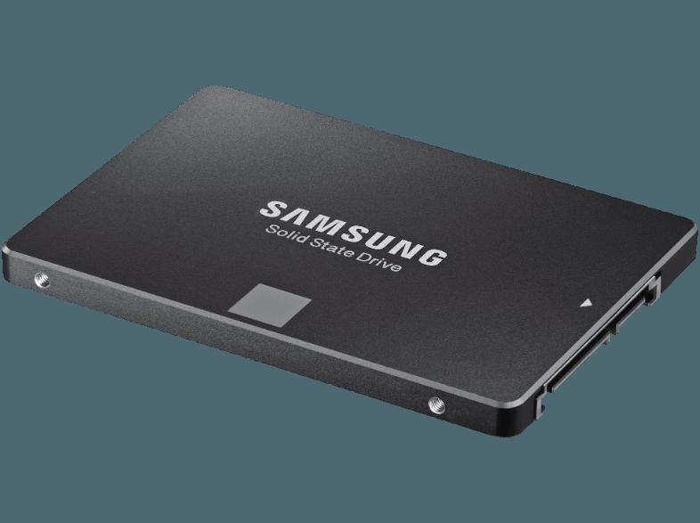 SAMSUNG MZ-75E250RW  250 GB 2.5 Zoll intern