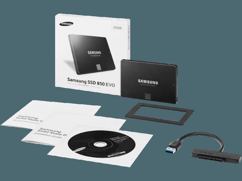 SAMSUNG MZ-75E250RW  250 GB 2.5 Zoll intern