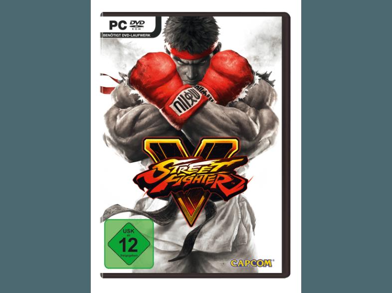 Street Fighter 5 [PC]