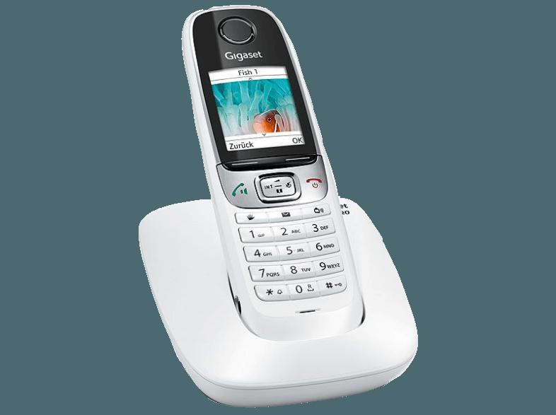 GIGASET C 620 Schnurlostelefon