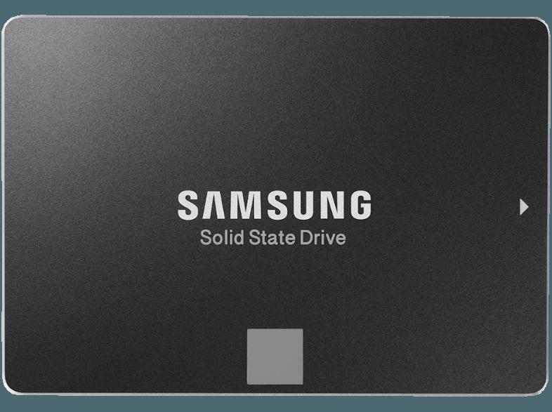 SAMSUNG 850 EVO SATA III (Installations-Bausatz)  500 GB 2.5 Zoll intern