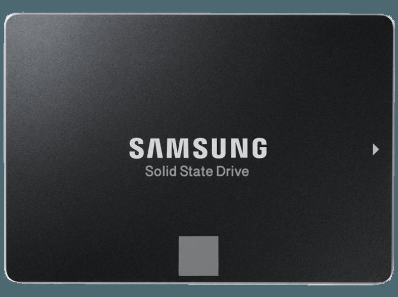 SAMSUNG 850 EVO SATA III (Installations-Bausatz)  500 GB 2.5 Zoll intern