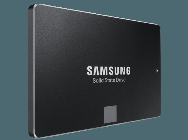 SAMSUNG 850 EVO SATA III (Installations-Bausatz)  500 GB 2.5 Zoll intern