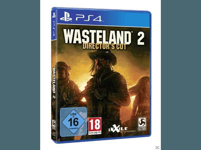 Wasteland 2 Director's Cut [PlayStation 4]