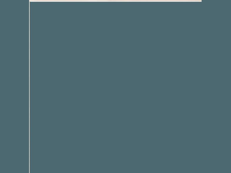 HERMA 10605 Vielzwecketiketten 13x40 mm  896 St.