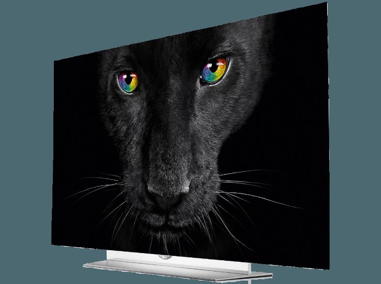 LG 55EF9509 OLED TV (Flat, 55 Zoll, UHD 4K, 3D, SMART TV)