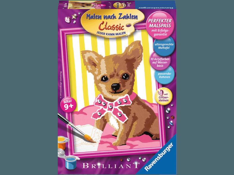 RAVENSBURGER 27990 Kleiner Chihuahua