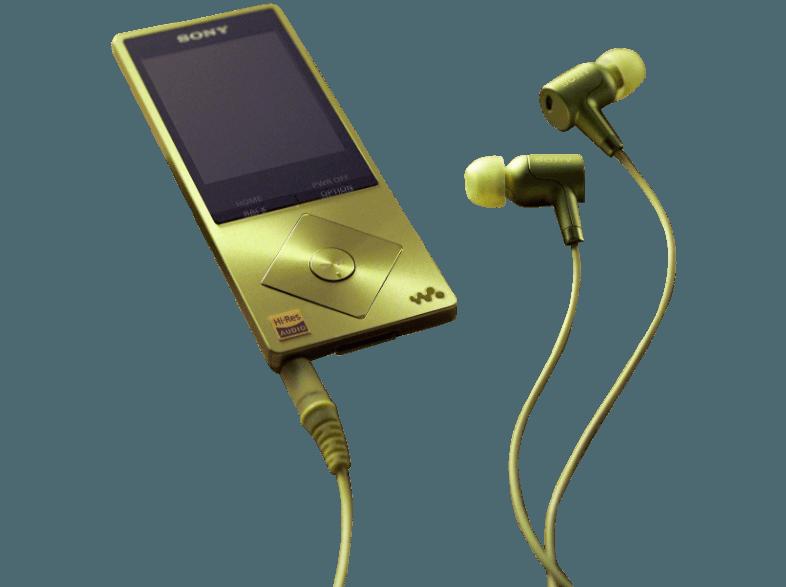 SONY NW-A25HN