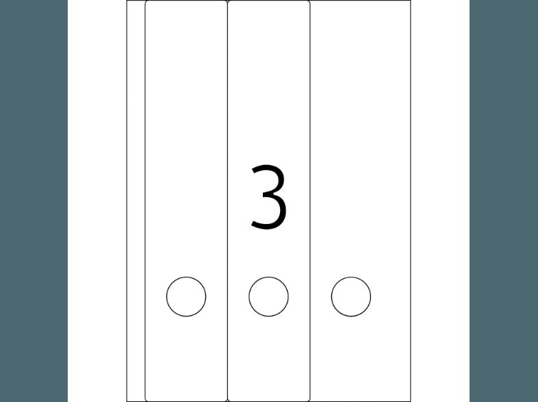 HERMA 5138 Ordneretiketten 61x297 mm A4 60 St.