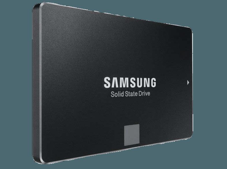 SAMSUNG MZ-75E120RW 850 EVO Starter Kit  120 GB 2.5 Zoll intern