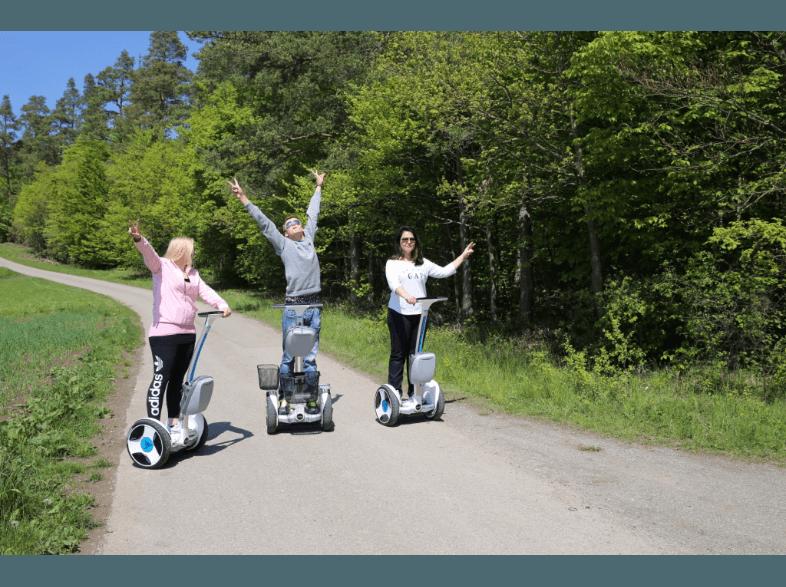 NINEBOT Elite E SCOOTER selbststabilisierendes Fahrzeug (12 Zoll, , 450 Wh), NINEBOT, Elite, E, SCOOTER, selbststabilisierendes, Fahrzeug, 12, Zoll, 450, Wh,