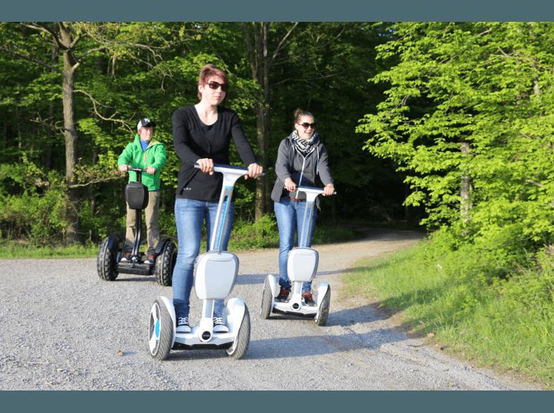 NINEBOT Elite E SCOOTER selbststabilisierendes Fahrzeug (12 Zoll, , 450 Wh)