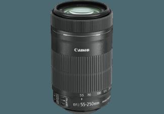 CANON EF-S 55-250mm f/4-5.6 IS STM Telezoom für Canon EF-S (55 mm- 250 mm, f/4-5.6)