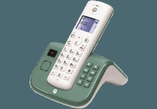 MOTOROLA T211 Schnurloses DECT Telefon