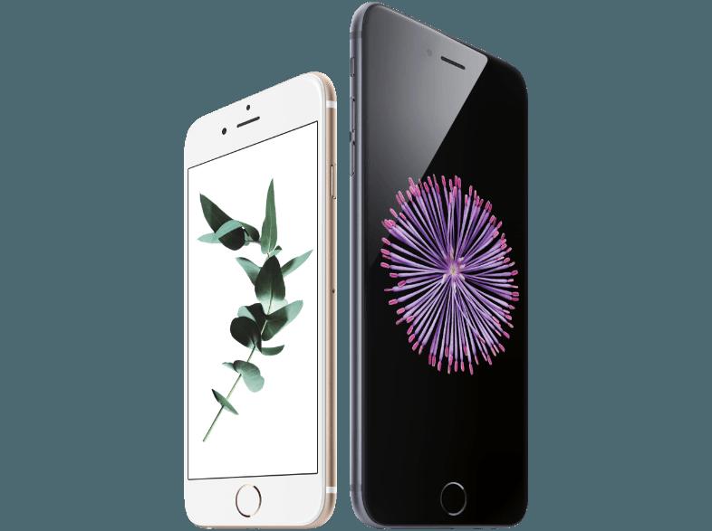 APPLE iPhone 6 Plus 16 GB Spacegrau