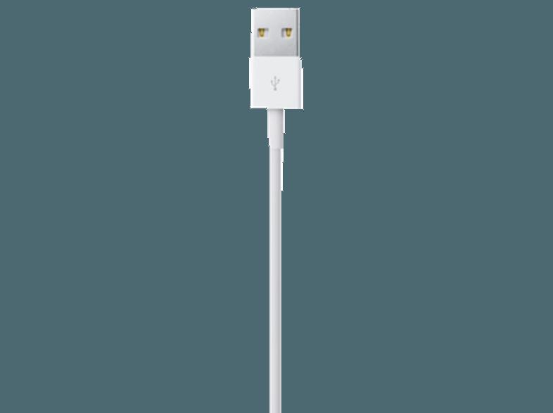 APPLE ME291ZM/A Lightning Connector auf USB Kabel