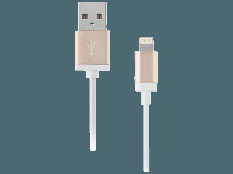 ARTWIZZ 2889-LC-USB-GG Lightning zu USB Lightening to USB Cable