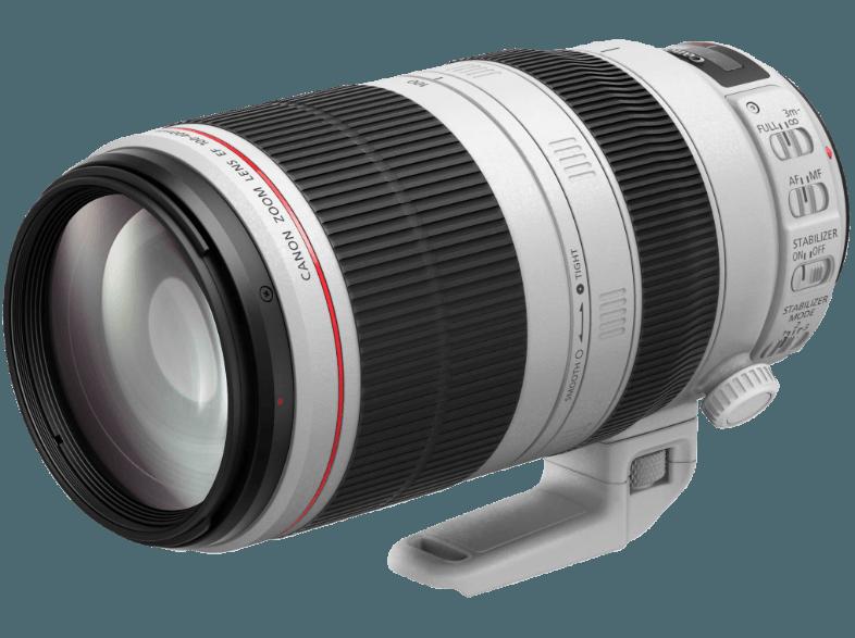 CANON EF 100-400mm f/4.5-5.6L IS II USM Standardzoom für Canon (100 mm- 400 mm, f/4.5-5.6)