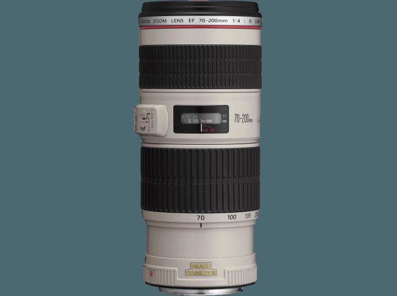 CANON EF 70-200mm f/4 L IS USM Telezoom für Canon EF (70 mm- 200 mm, f/4), CANON, EF, 70-200mm, f/4, L, IS, USM, Telezoom, Canon, EF, 70, mm-, 200, mm, f/4,