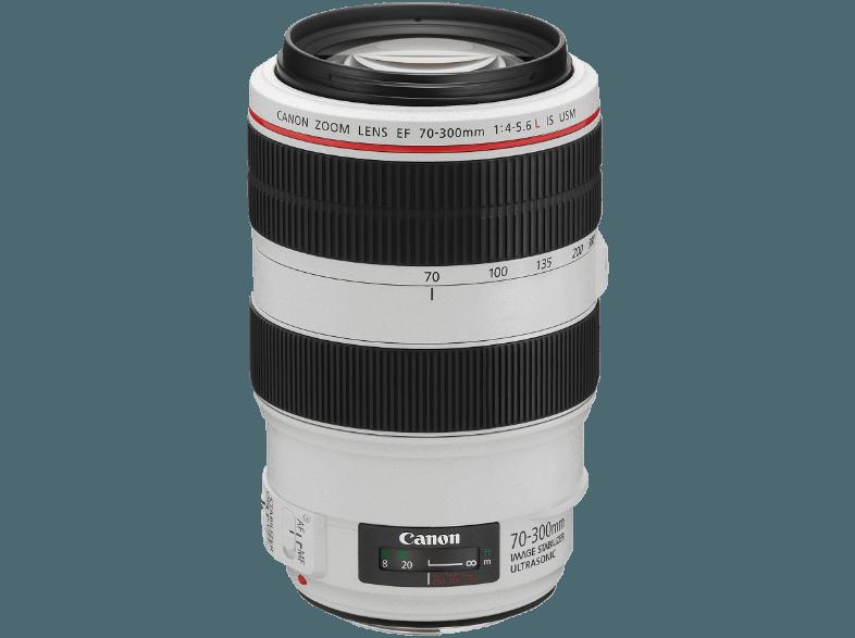 CANON EF 70-300mm f/4-5.6L IS USM Telezoom für Canon EF (70 mm- 300 mm, f/4-5.6)