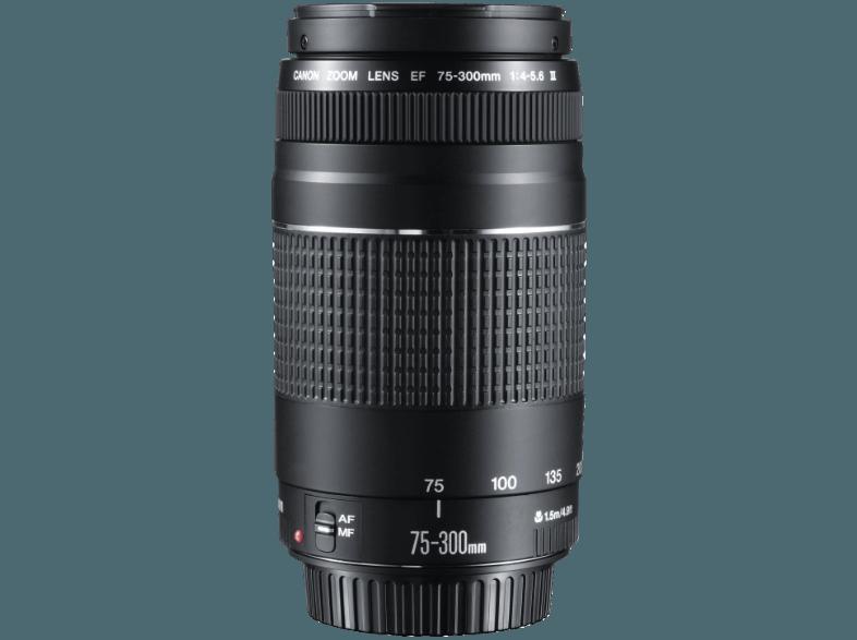 CANON EF 75-300mm f/4-5.6 III Telezoom für EOS Kameras (75 mm- 300 mm, f/4-5.6), CANON, EF, 75-300mm, f/4-5.6, III, Telezoom, EOS, Kameras, 75, mm-, 300, mm, f/4-5.6,