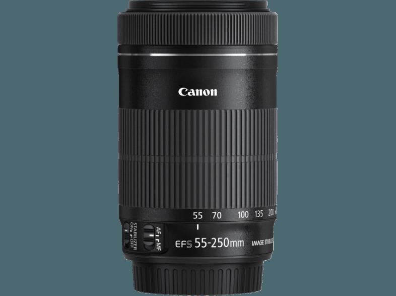 CANON EF-S 55-250mm f/4-5.6 IS STM Telezoom für Canon EF-S (55 mm- 250 mm, f/4-5.6)