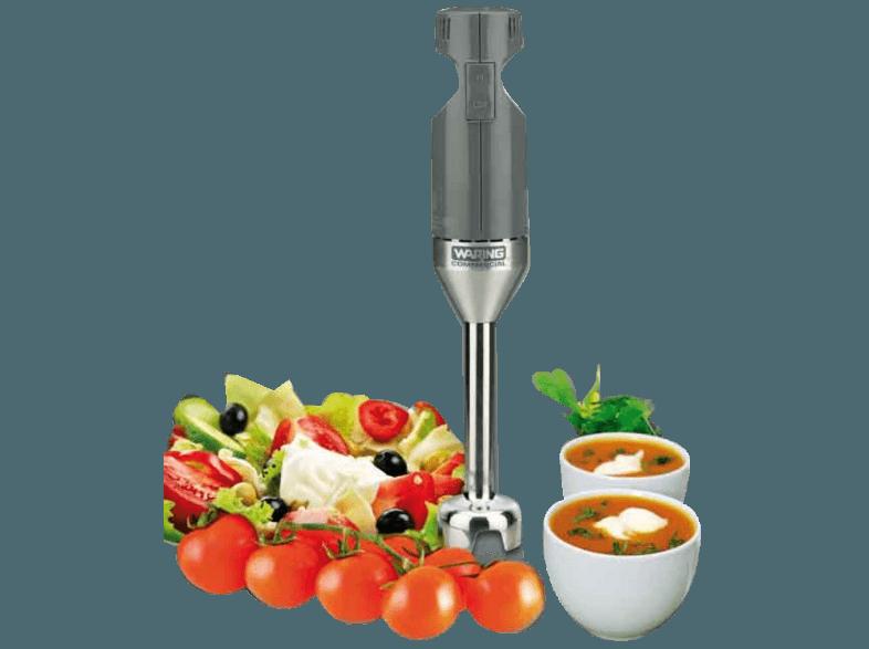 GASTROBACK 40229 Light-Duty Quik Stik Stabmixer Edelstahl/Grau (175 Watt)