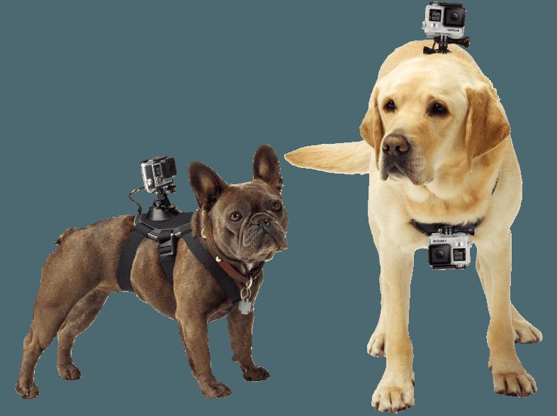 GOPRO Fetch Hundegeschirr Hundegeschirr Hundegeschirr,, GOPRO, Fetch, Hundegeschirr, Hundegeschirr, Hundegeschirr,