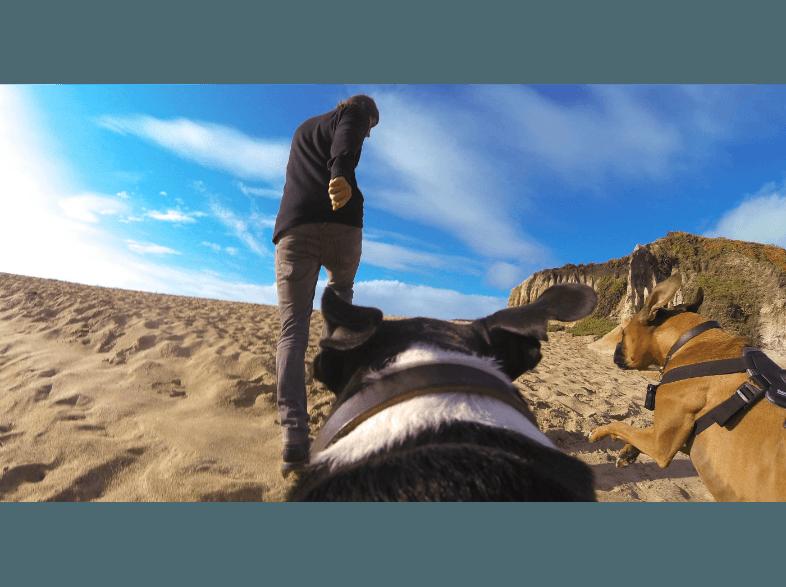 GOPRO Fetch Hundegeschirr Hundegeschirr Hundegeschirr,, GOPRO, Fetch, Hundegeschirr, Hundegeschirr, Hundegeschirr,