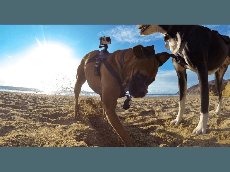 GOPRO Fetch Hundegeschirr Hundegeschirr Hundegeschirr,