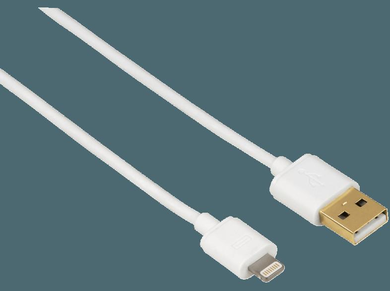 HAMA 102099 USB-Kabel