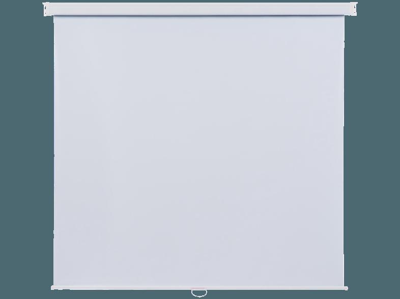 MEDIUM 244x244 Rollo Leinwand