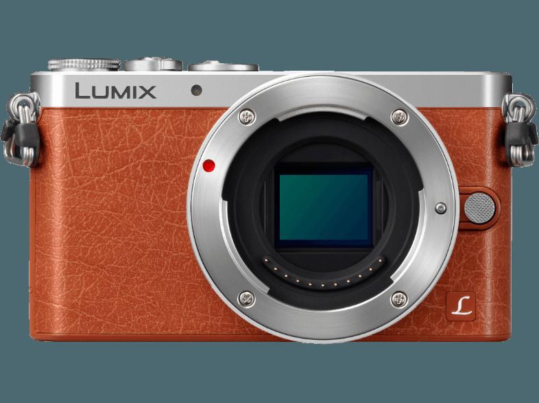 PANASONIC Lumix DMC-GM 1 KEG-D    Objektiv 12-32 mm f/3.5-5.6 (16 Megapixel, Micro-Four-Thirds-Live-MOS)