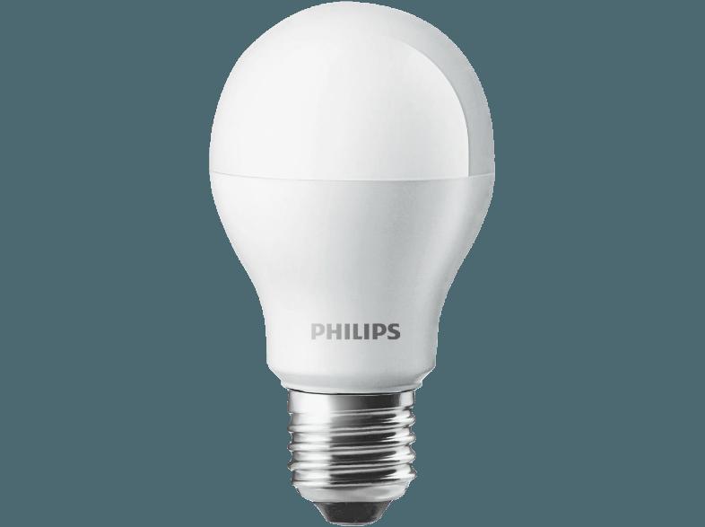 PHILIPS 19296100 LED 5.5 Watt E27