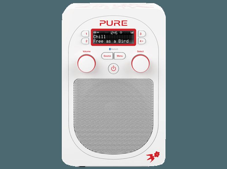 PURE Evoke D2 BT Rob Ryan Red  (Digital, UKW, DAB, DAB , Bunt)