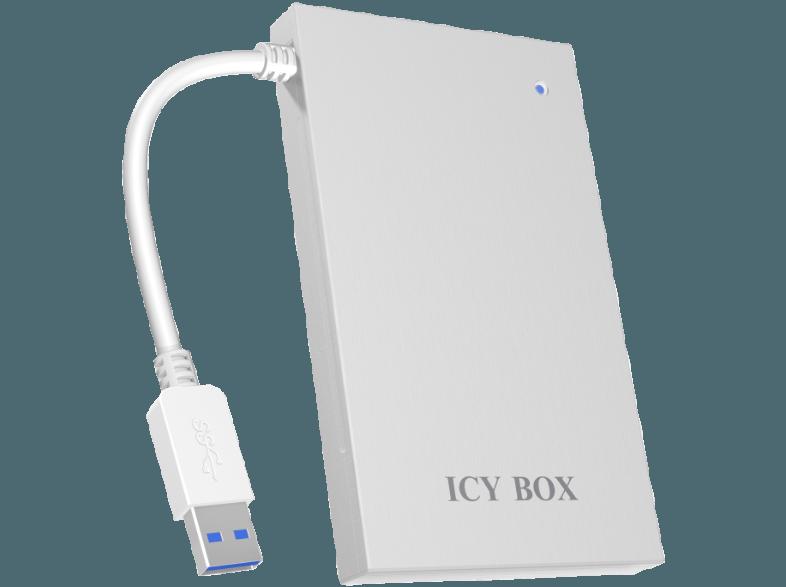 RAIDSONIC IB-AC 6034-U3 ICY Externes Gehäuse