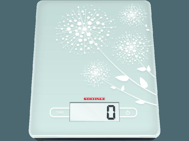 SOEHNLE 65115 KWD Frosted & Frozen Digitale Küchenwaage (Max. Tragkraft: 5 kg)